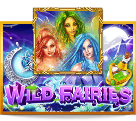 Wild Fairies
